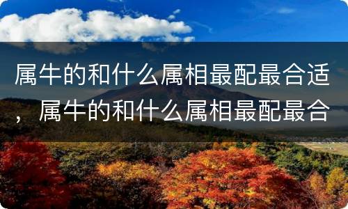属牛的和什么属相最配最合适，属牛的和什么属相最配最合适呢