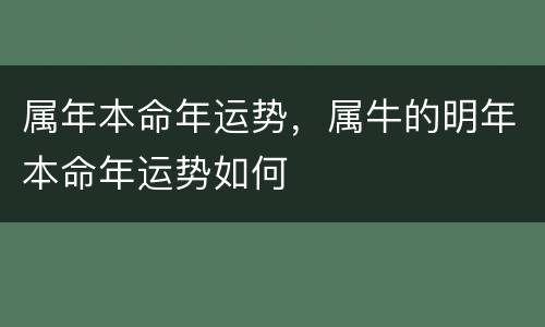 属年本命年运势，属牛的明年本命年运势如何