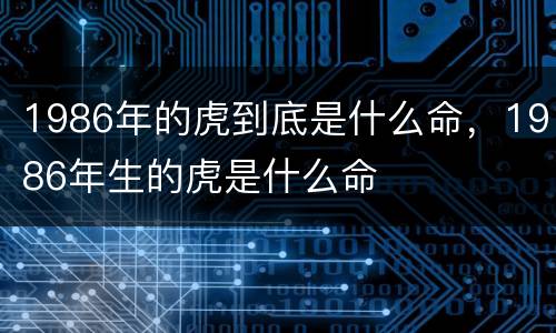 1986年的虎到底是什么命，1986年生的虎是什么命