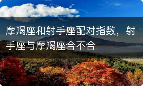 摩羯座和射手座配对指数，射手座与摩羯座合不合