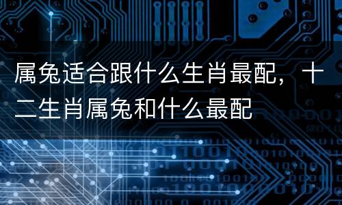 属兔适合跟什么生肖最配，十二生肖属兔和什么最配