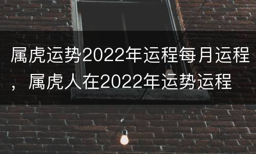 属虎运势2022年运程每月运程，属虎人在2022年运势运程