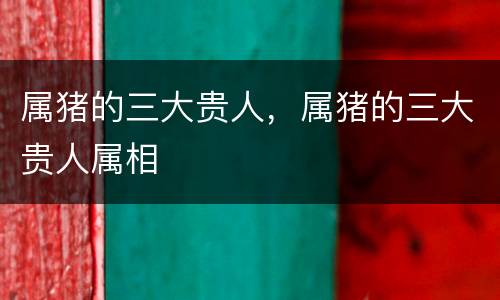 属猪的三大贵人，属猪的三大贵人属相