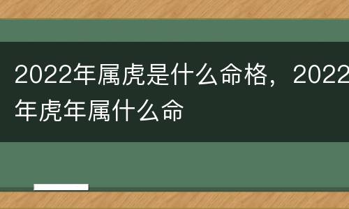2022年属虎是什么命格，2022年虎年属什么命