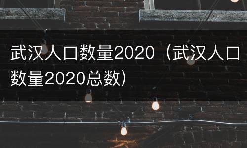武汉人口数量2020（武汉人口数量2020总数）