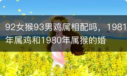 92女猴93男鸡属相配吗，1981年属鸡和1980年属猴的婚