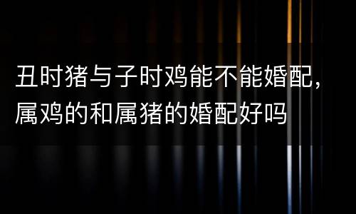 丑时猪与子时鸡能不能婚配，属鸡的和属猪的婚配好吗