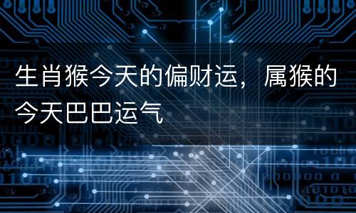生肖猴今天的偏财运，属猴的今天巴巴运气