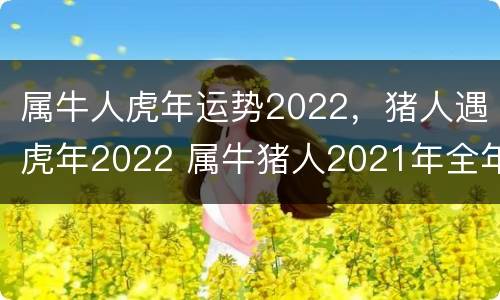 属牛人虎年运势2022，猪人遇虎年2022 属牛猪人2021年全年运势详解