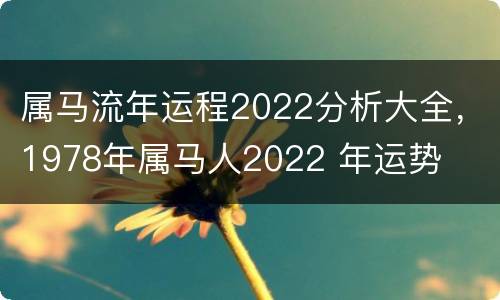 属马流年运程2022分析大全，1978年属马人2022 年运势