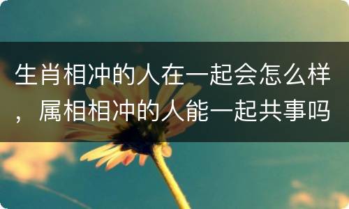 生肖相冲的人在一起会怎么样，属相相冲的人能一起共事吗
