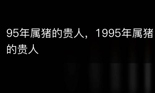 95年属猪的贵人，1995年属猪的贵人