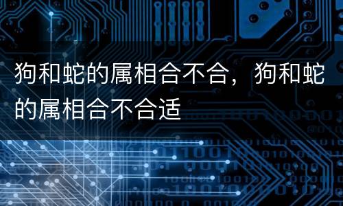 狗和蛇的属相合不合，狗和蛇的属相合不合适