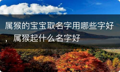 属猴的宝宝取名字用哪些字好，属猴起什么名字好