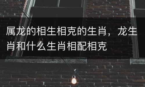 属龙的相生相克的生肖，龙生肖和什么生肖相配相克
