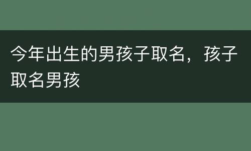 今年出生的男孩子取名，孩子取名男孩
