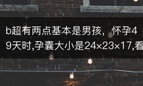 b超有两点基本是男孩，怀孕49天时,孕囊大小是24×23×17,看这三