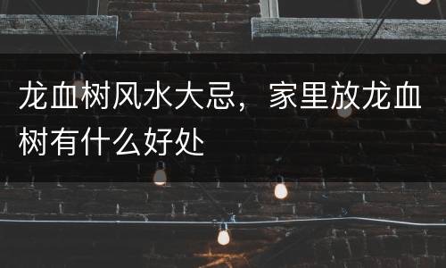 龙血树风水大忌，家里放龙血树有什么好处