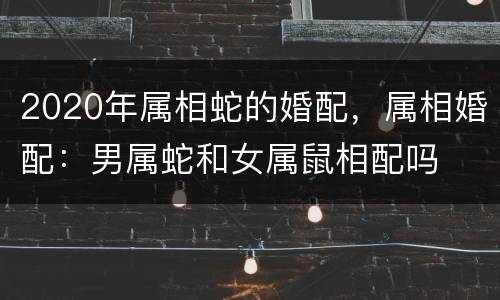 2020年属相蛇的婚配，属相婚配：男属蛇和女属鼠相配吗