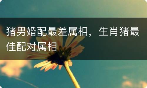 猪男婚配最差属相，生肖猪最佳配对属相