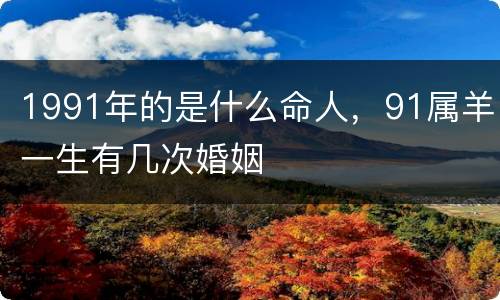 1991年的是什么命人，91属羊一生有几次婚姻