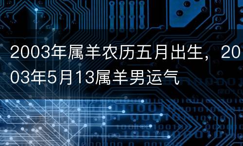 2003年属羊农历五月出生，2003年5月13属羊男运气