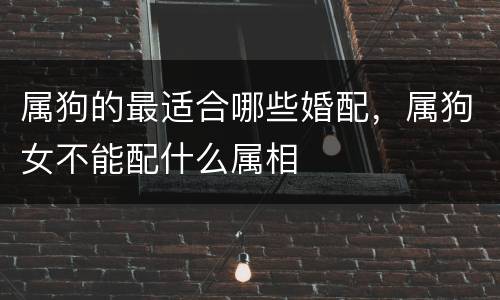 属狗的最适合哪些婚配，属狗女不能配什么属相
