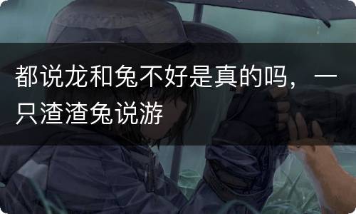 都说龙和兔不好是真的吗，一只渣渣兔说游