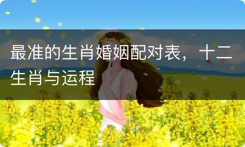 最准的生肖婚姻配对表，十二生肖与运程