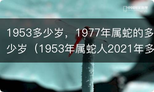 1953多少岁，1977年属蛇的多少岁（1953年属蛇人2021年多大）