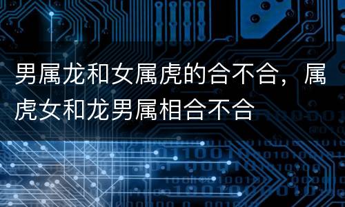 男属龙和女属虎的合不合，属虎女和龙男属相合不合