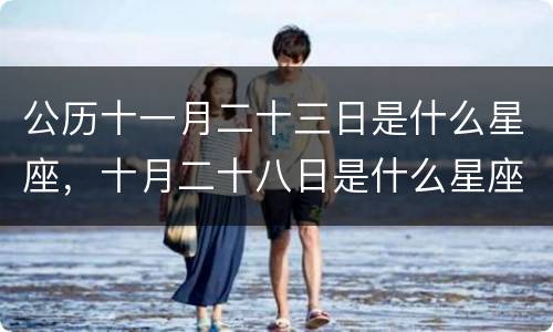 公历十一月二十三日是什么星座，十月二十八日是什么星座