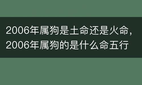 2006年属狗是土命还是火命，2006年属狗的是什么命五行