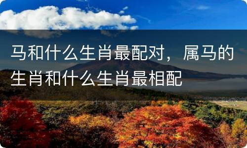 马和什么生肖最配对，属马的生肖和什么生肖最相配