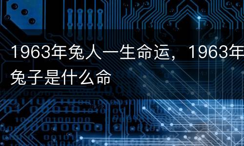 1963年兔人一生命运，1963年兔子是什么命