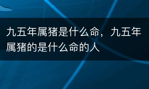 九五年属猪是什么命，九五年属猪的是什么命的人