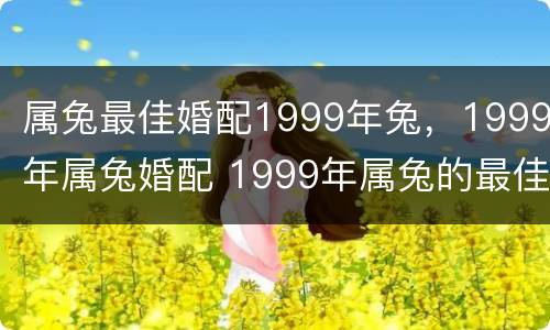 属兔最佳婚配1999年兔，1999年属兔婚配 1999年属兔的最佳婚配