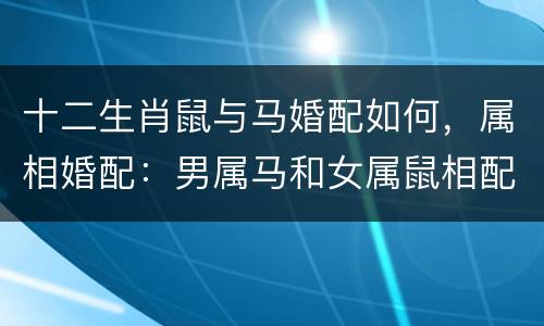 十二生肖鼠与马婚配如何，属相婚配：男属马和女属鼠相配吗