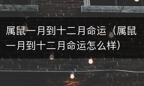 属鼠一月到十二月命运（属鼠一月到十二月命运怎么样）