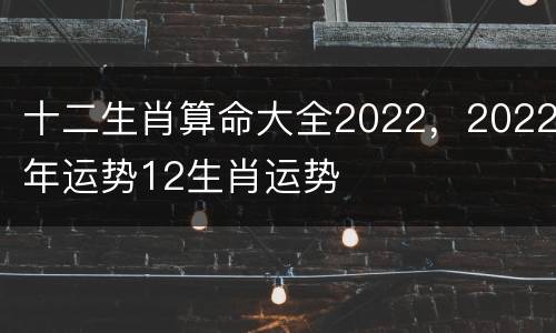 十二生肖算命大全2022，2022年运势12生肖运势