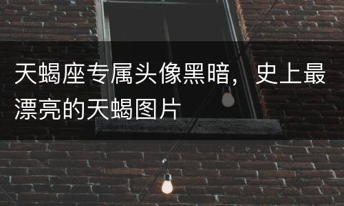 天蝎座专属头像黑暗，史上最漂亮的天蝎图片