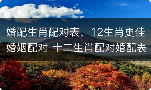 婚配生肖配对表，12生肖更佳婚姻配对 十二生肖配对婚配表