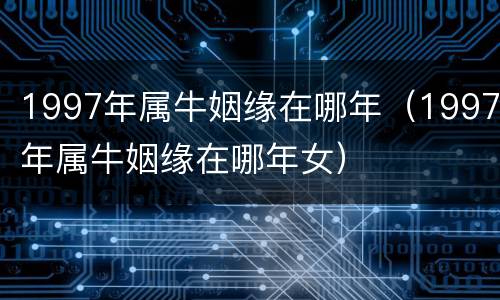 1997年属牛姻缘在哪年（1997年属牛姻缘在哪年女）