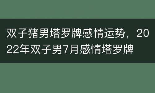 双子猪男塔罗牌感情运势，2022年双子男7月感情塔罗牌