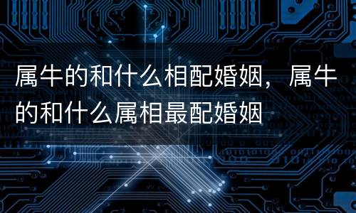 属牛的和什么相配婚姻，属牛的和什么属相最配婚姻