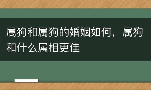 属狗和属狗的婚姻如何，属狗和什么属相更佳