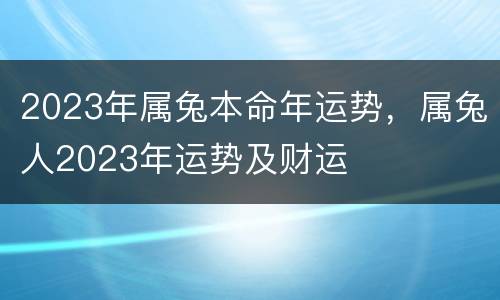 2023年属兔本命年运势，属兔人2023年运势及财运
