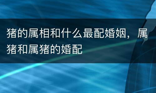猪的属相和什么最配婚姻，属猪和属猪的婚配