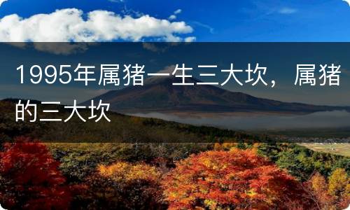 1995年属猪一生三大坎，属猪的三大坎