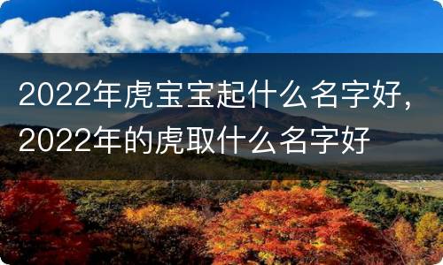 2022年虎宝宝起什么名字好，2022年的虎取什么名字好
